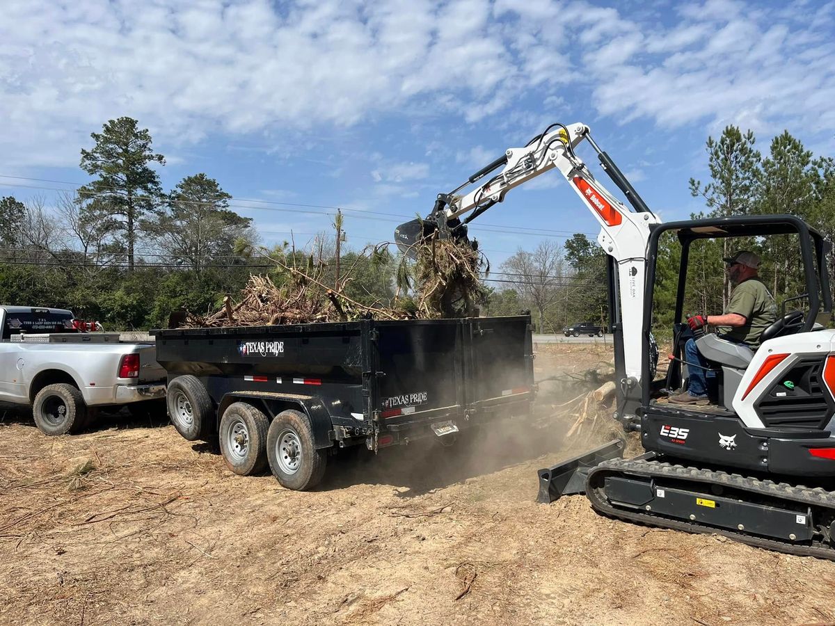Tree Removal for T N L - Tree and Land Service in Reynolds, GA