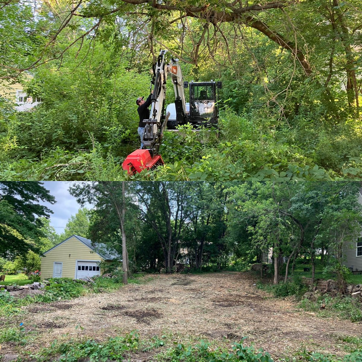 Forestry Mulching for Brush Busters in Wausau, WI