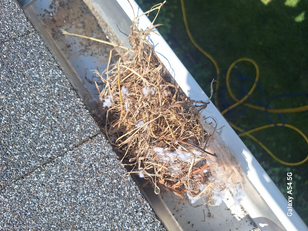 Pressure Washing for Soapy Suds Services in St. Charles, IL