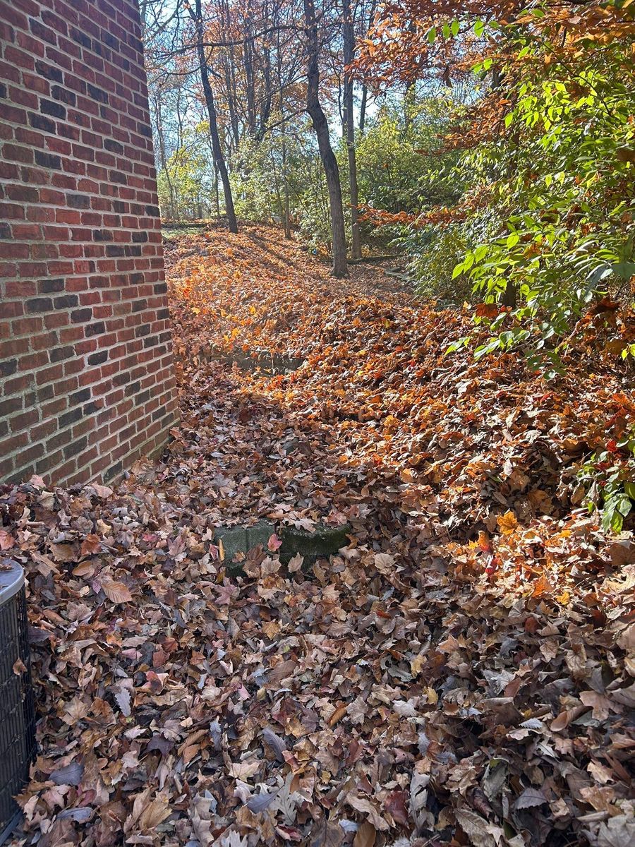 Shrub Trimming for Plenty Landscaping Solutions in Indianapolis, IN