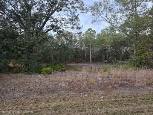 Land Clearing for Giles Land Management, LLC in Hahira, GA