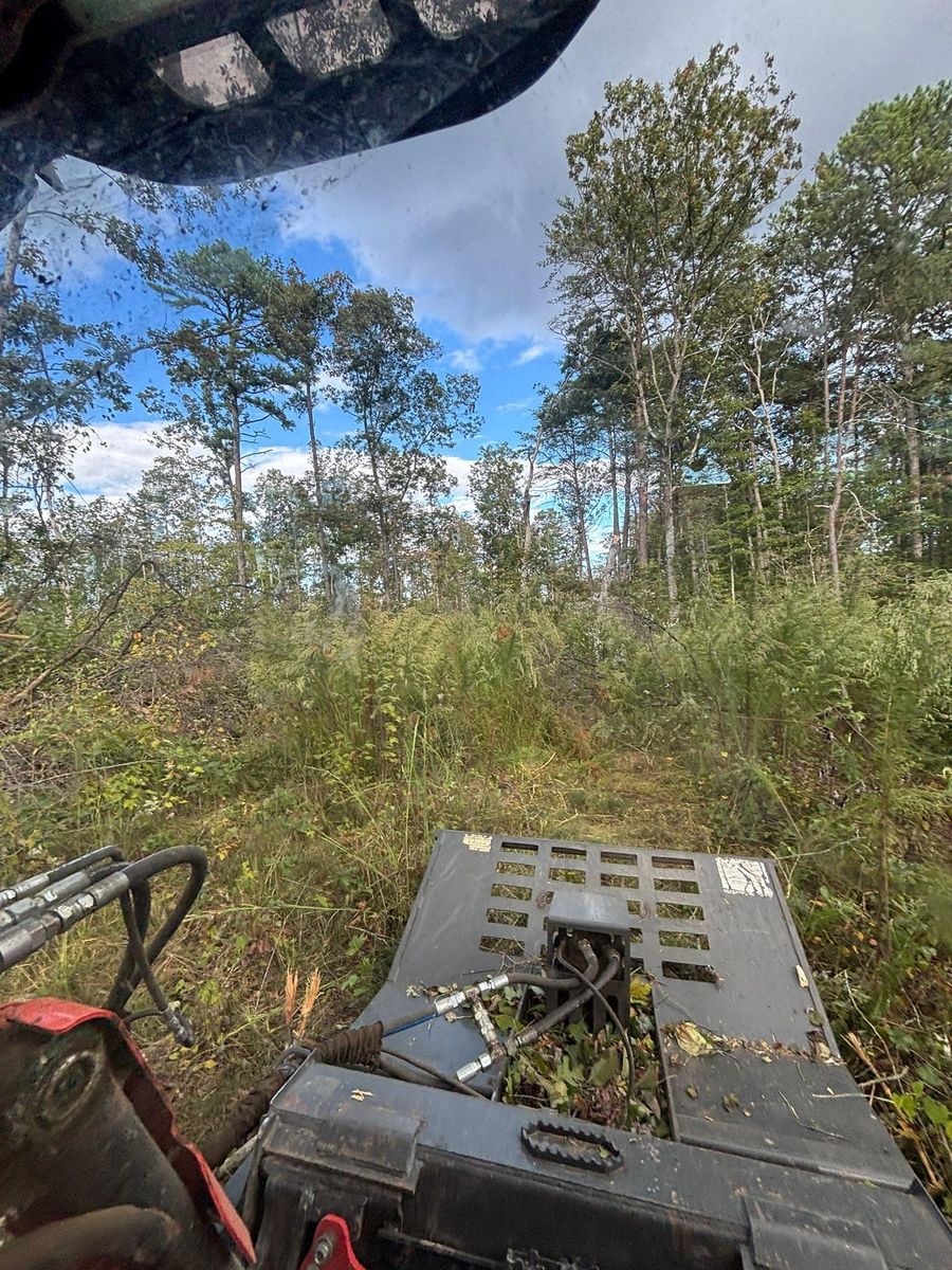 Forestry Mulching for TD Dirtworks in Tracy City, TN