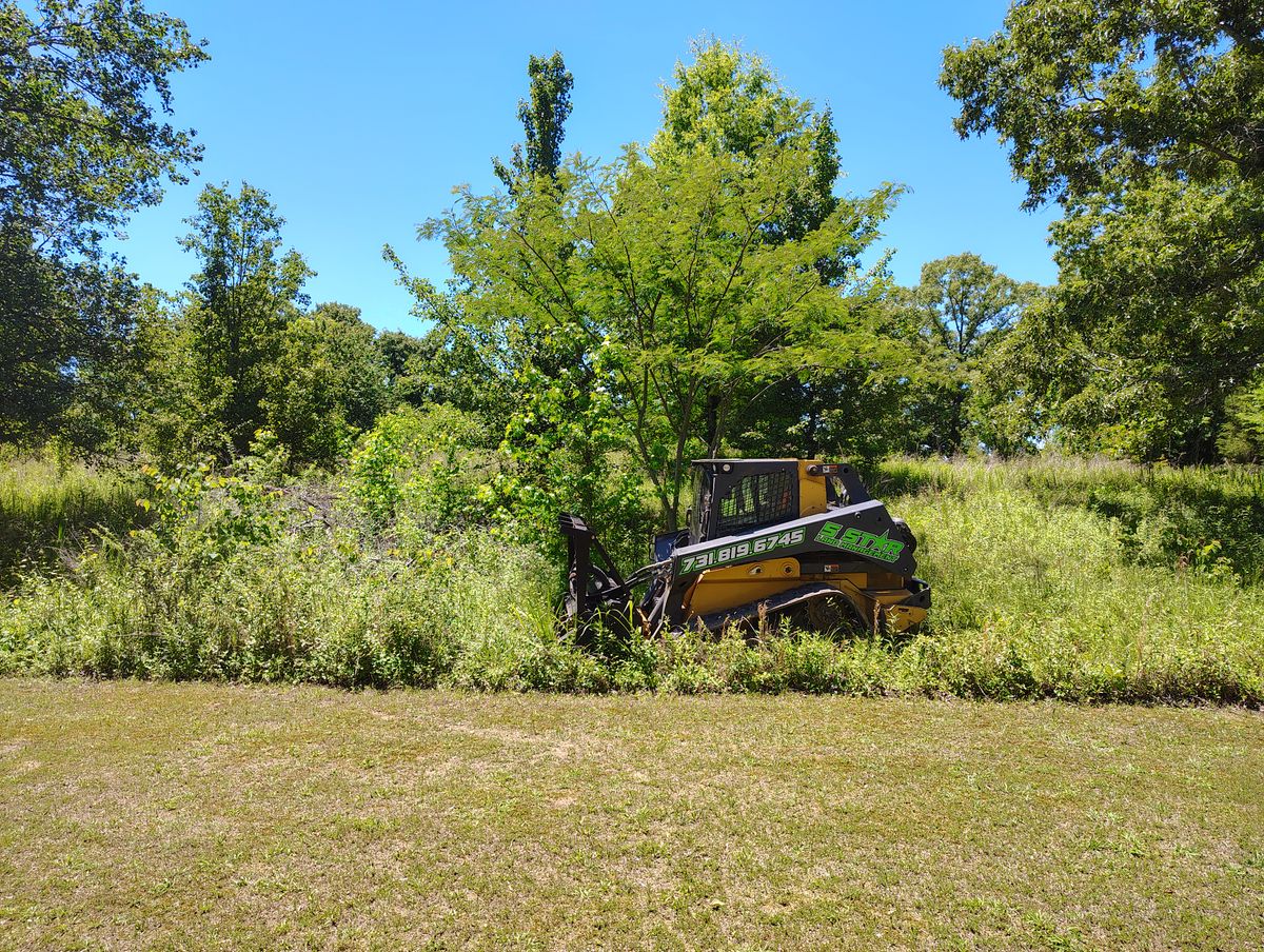 Forestry Mulching for 5 Star Land Management in Beech Bluff, TN