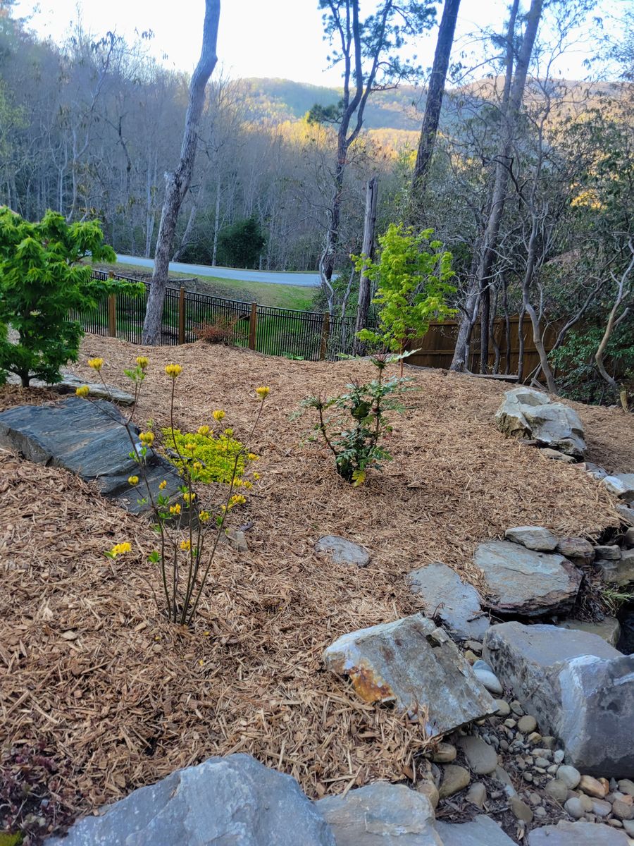 Mulching for C4 TrueVision Renovations in Asheville, NC