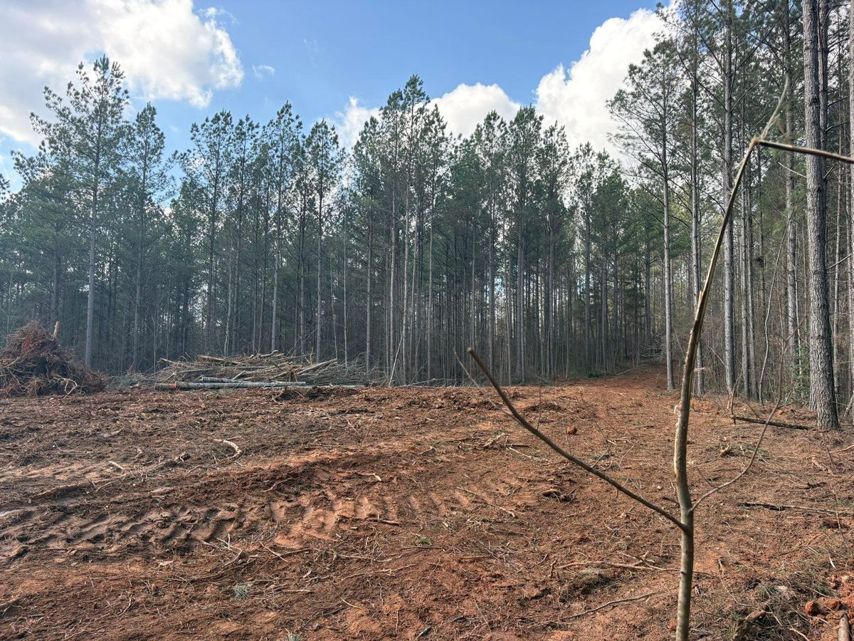 Site Preparation for Grading & Clearing Services in Dawsonville, GA