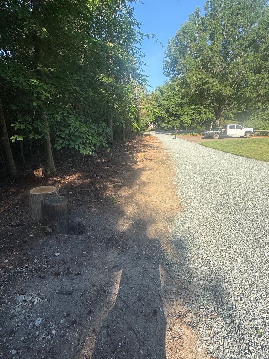Stump Grinding and Removal for Lanes Outdoor Solutions in Lexington, NC
