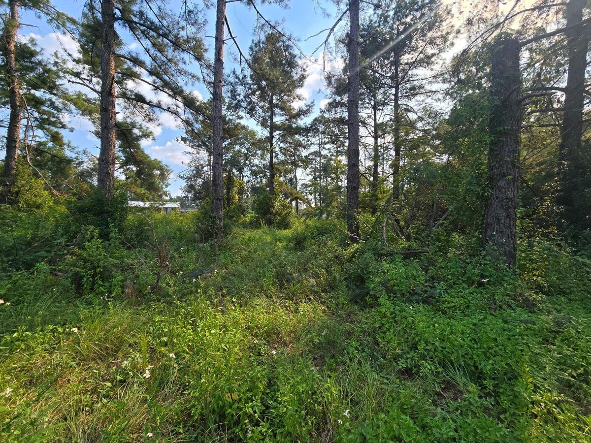 Land Clearing for Giles Land Management, LLC in Hahira, GA