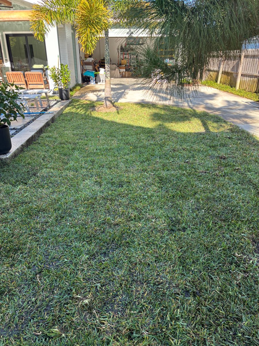Landscape Design for Gulf Bay Sod in Clearwater, FL