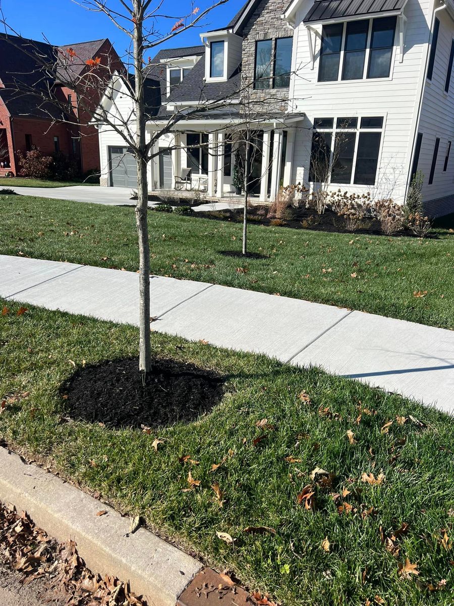 Mulch Installation for Team Bard Lawn Care SVC in Woodbury, TN