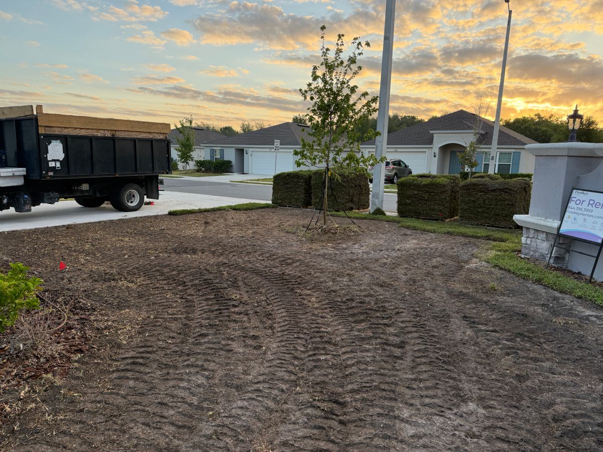 Tree Removal for Amerigrown Tree And Lawn in Apopka, FL
