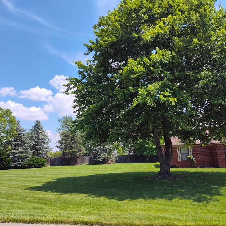 Mowing for Bearforce Lawn Care LLC in Greenfield, IN