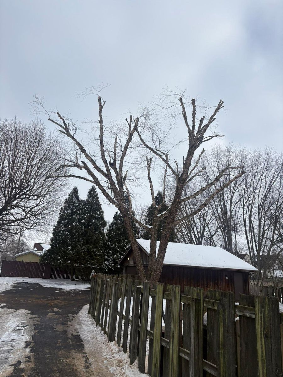 Fall Clean Up for Dig-It Tree Company in Mason, OH