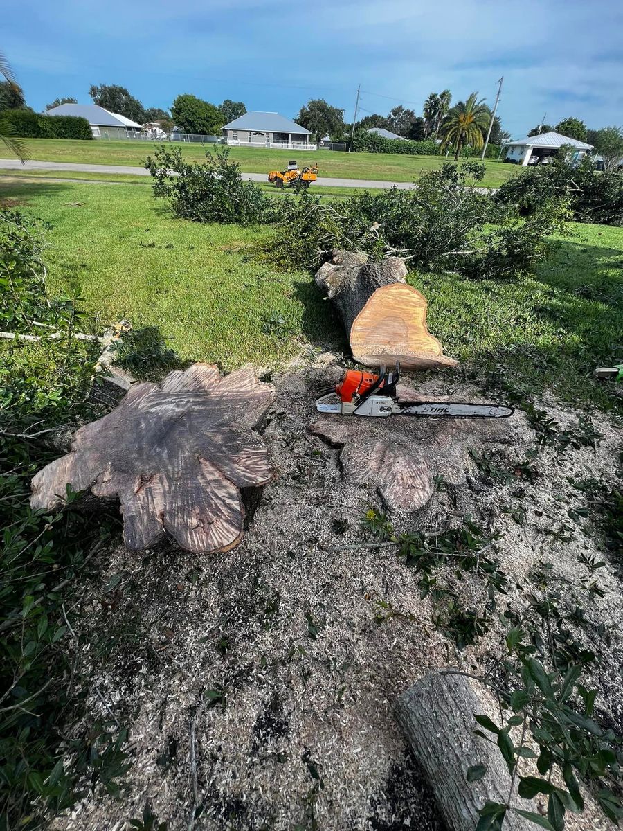 Tree Removal for Outdoor Solutions Of The Glades in Hendry County, FL