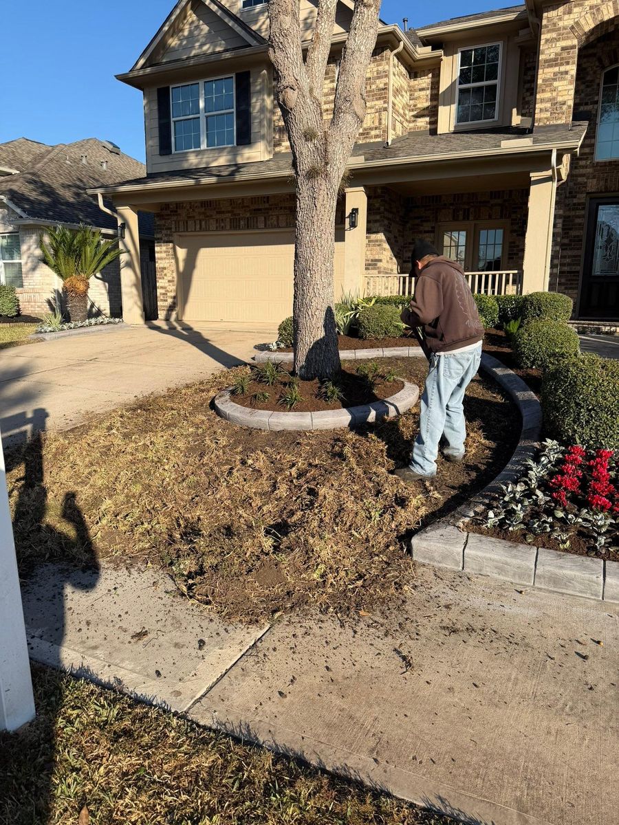 Landscaping for Texas Curb N Borders in Houston, TX
