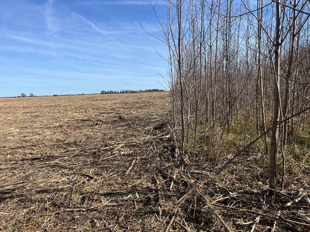 Land Clearing & Demolition for KG Ground Development and Transportation in Newton, IL