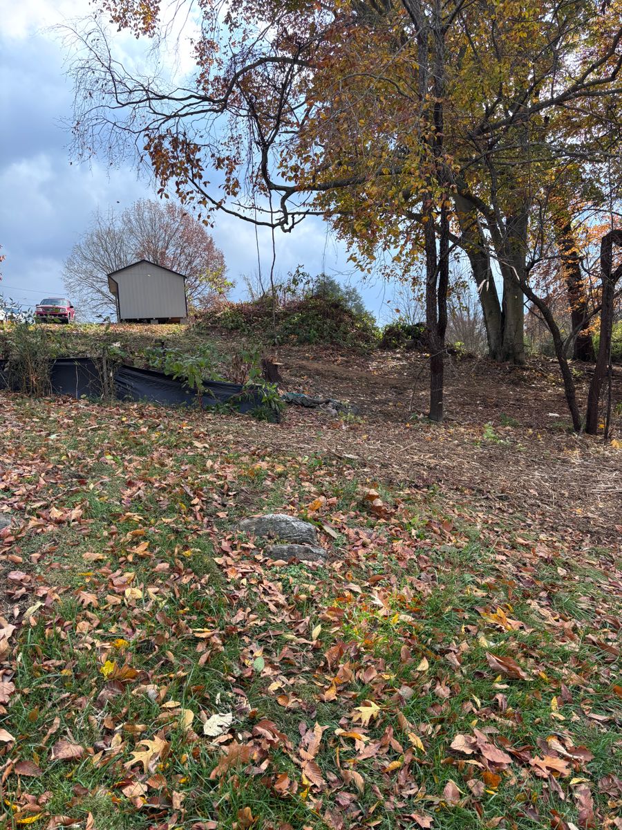 Fall Clean Up for Everything Outdoors in Abingdon, VA