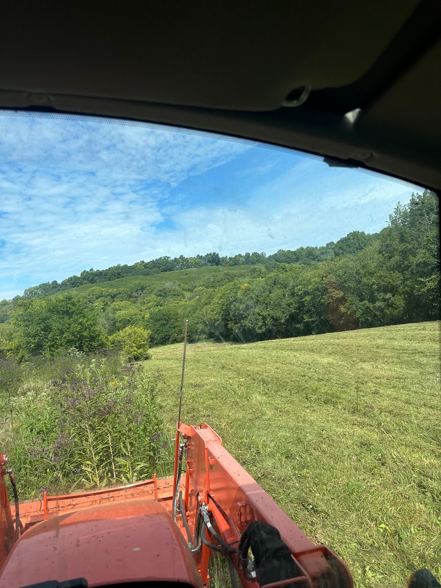 Bush Hogging for Lanes Land Management in Fayetteville, TN