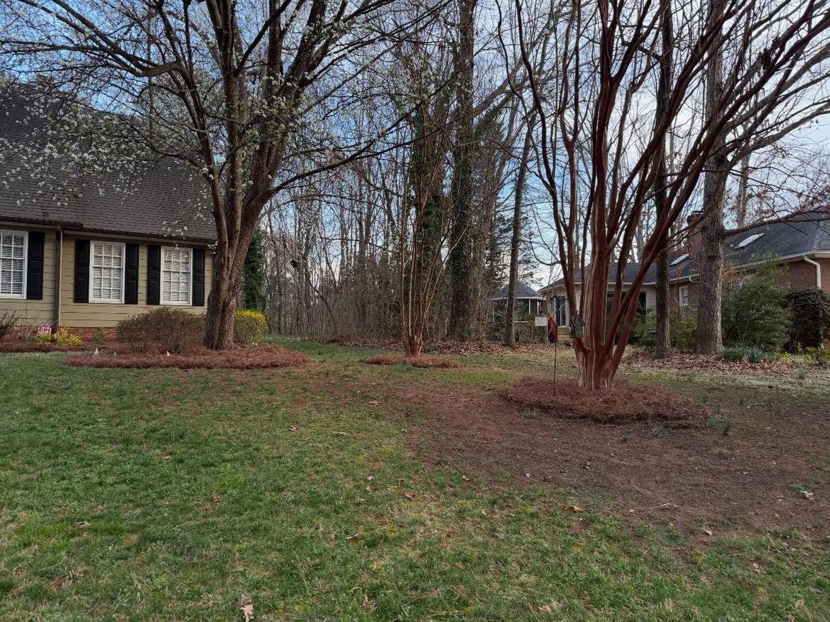 Mulching and pine needling for Holloway Yard Company in Greensboro, NC