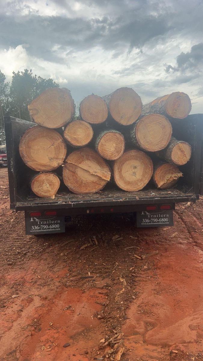 Fall Clean Up for Brooks Tree Service, LLC in Casar, NC