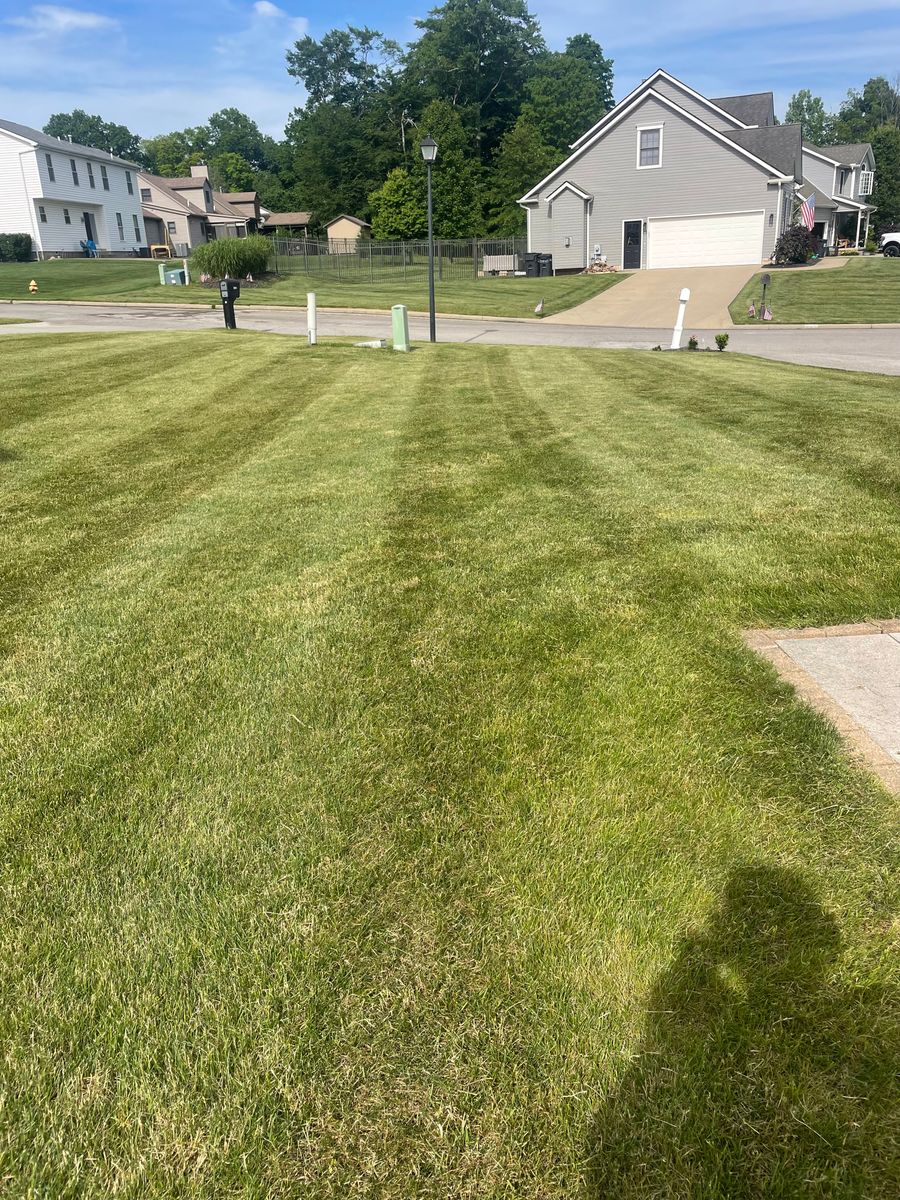 Mowing for Youngstown Landscape and Design in Canfield, OH