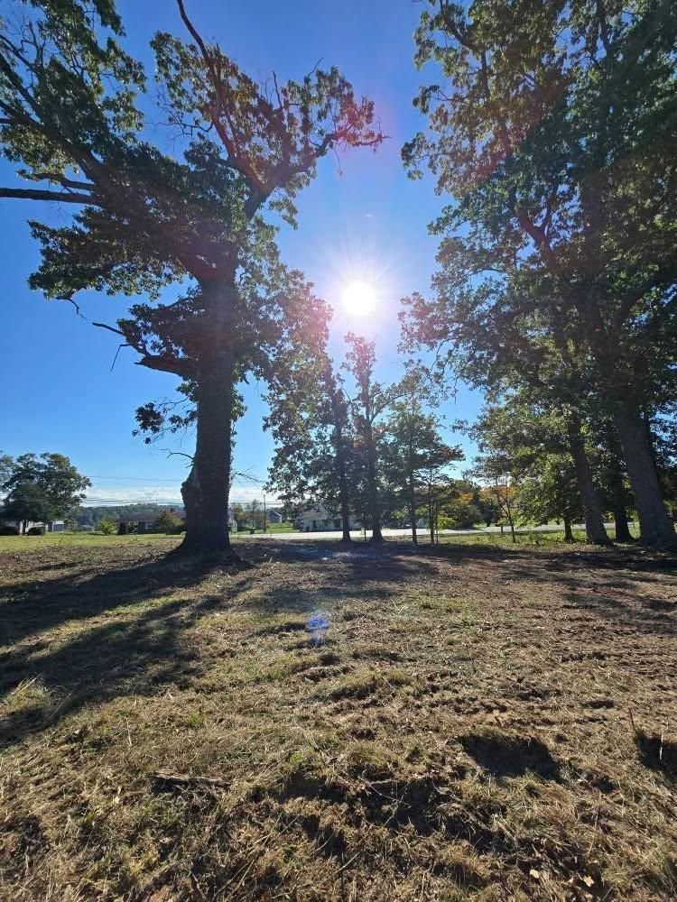 Land clearing for M&L Lumber and Excavating in Jonesborough, TN