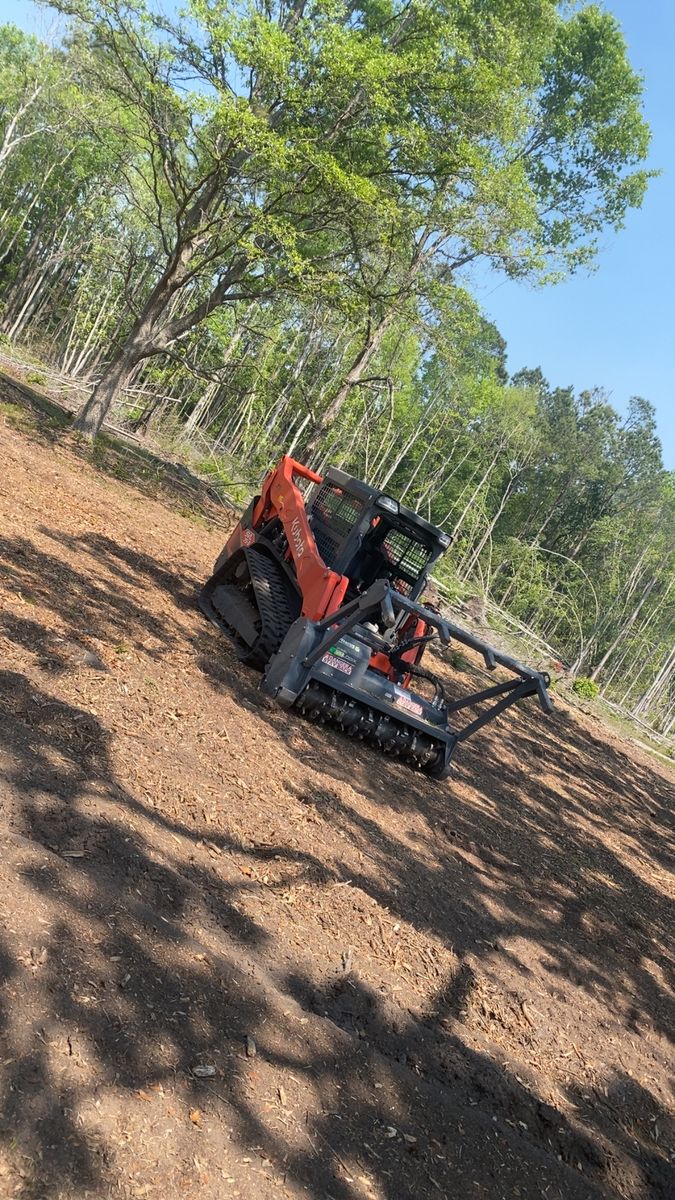 Forestry Mulching for T&S Land Management Services in Effingham County, GA
