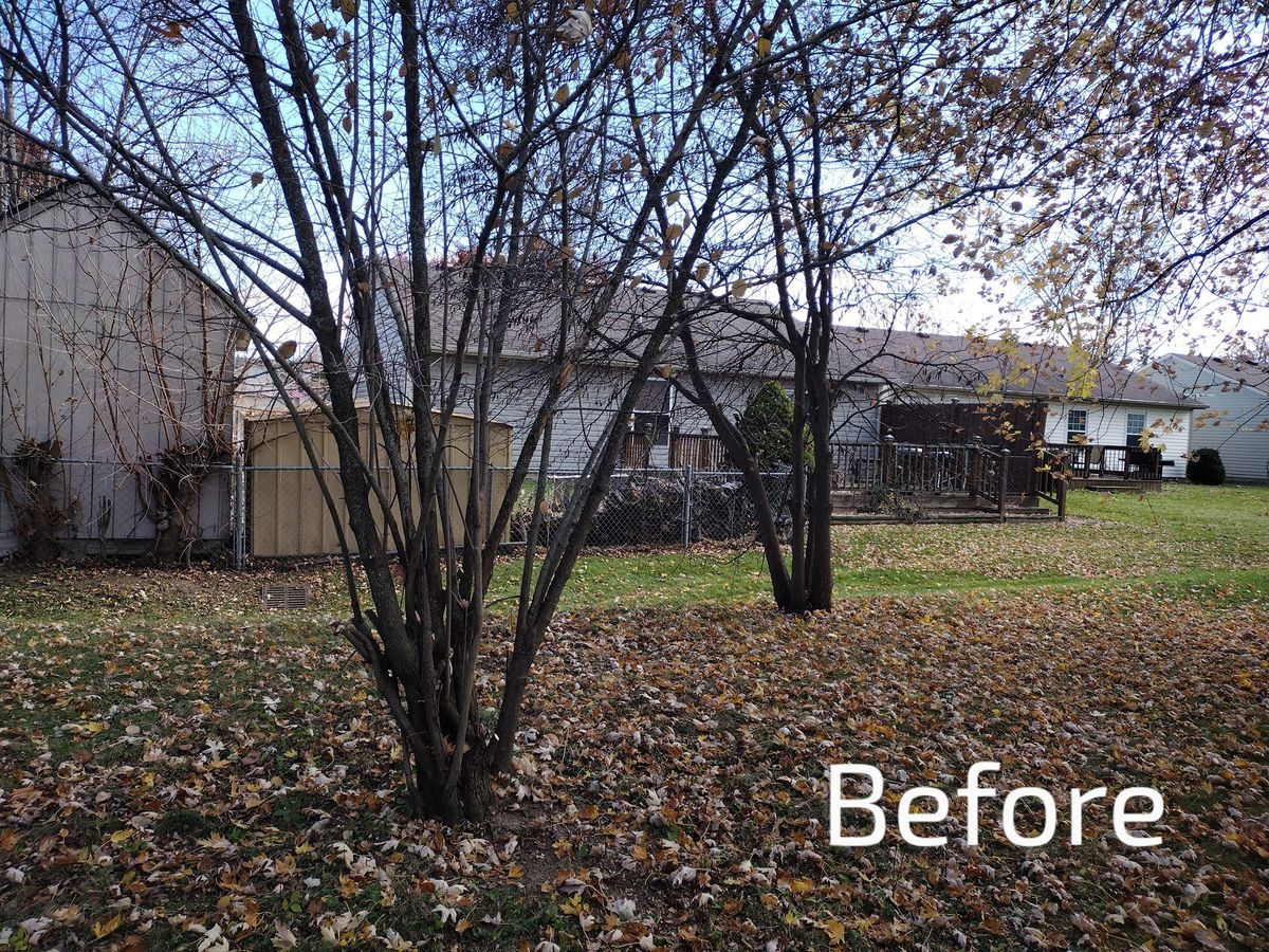 Fall and Spring Clean Up for Bearforce Lawn Care LLC in Greenfield, IN