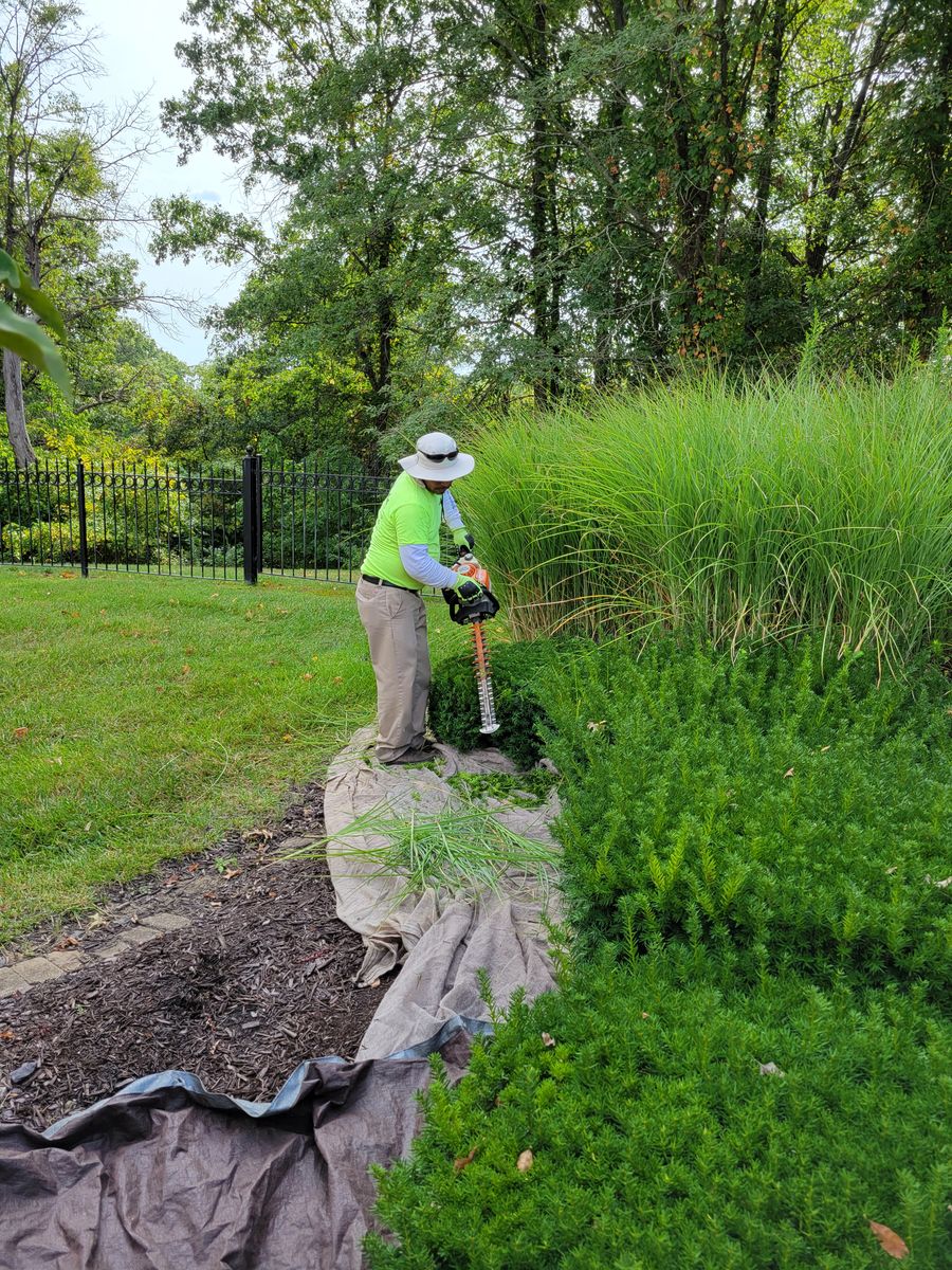 Landscape Installation for Contemporary Landscape in St. Louis, MO