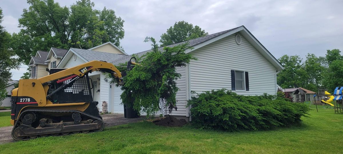 Downed Tree/Brush Removal for Admiring Landscapes in Lancaster, OH