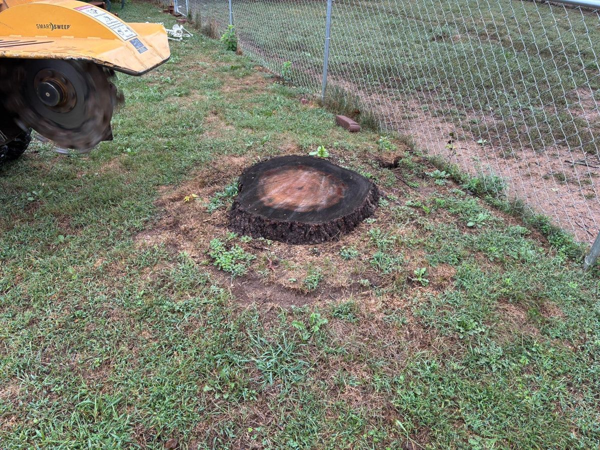 Stump Removal for Conrad's Stump Removal in Columbus, IN