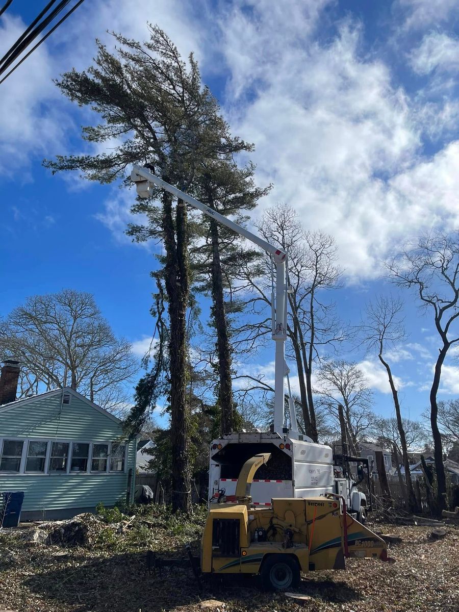 Tree Trimming for Robery's Tree Service in West Wareham, MA
