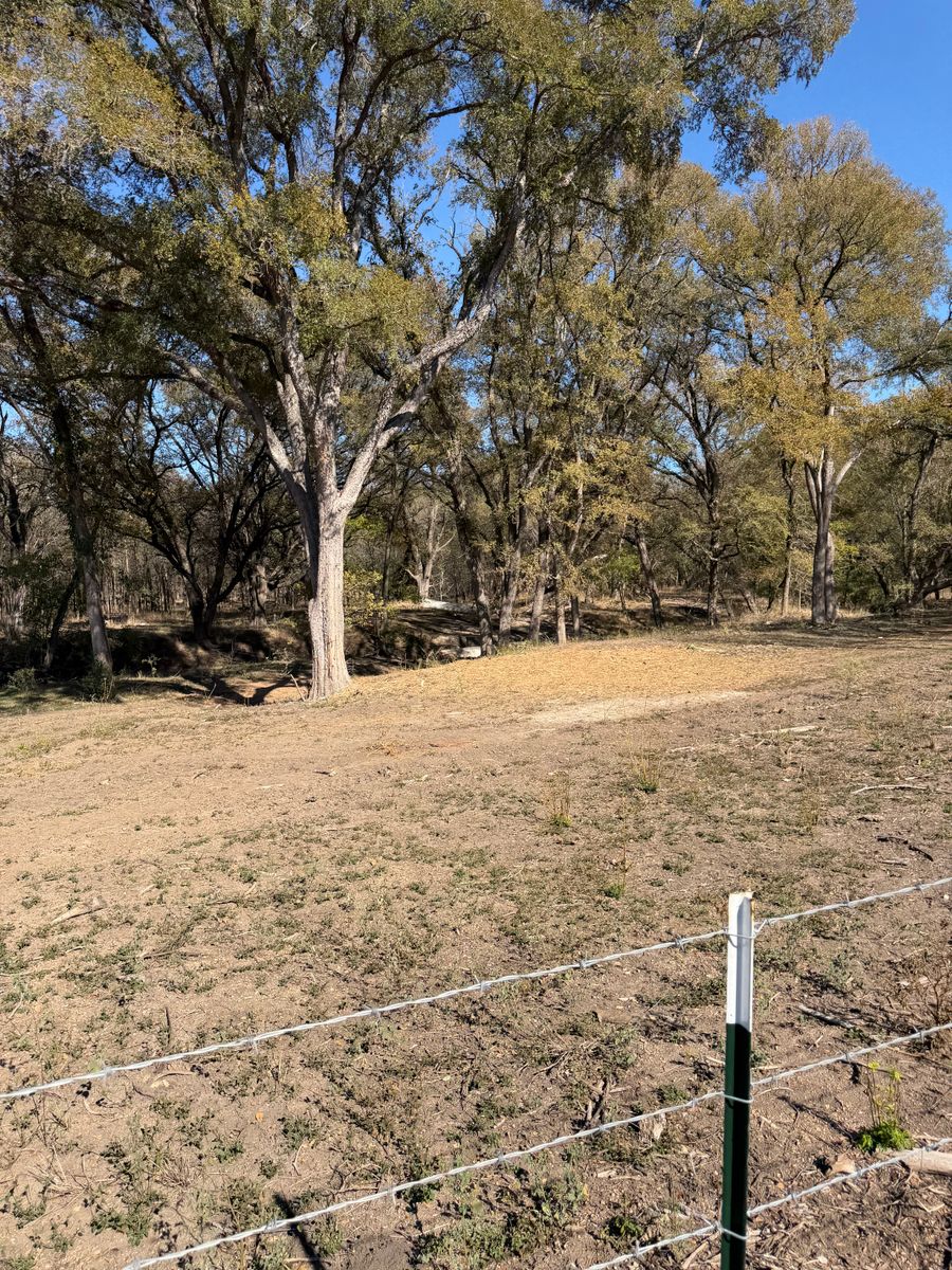 Land Clearing for 512 Land Clearing in Blanco County, TX