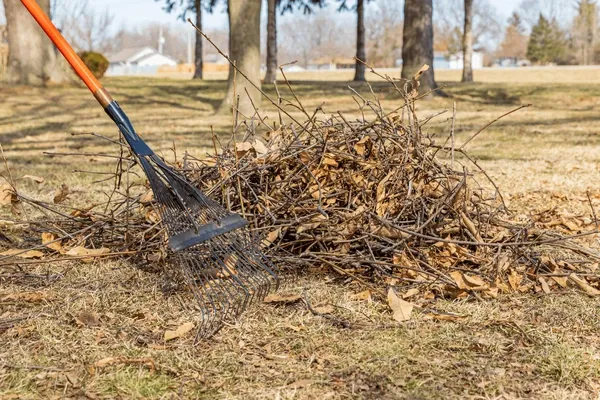 Brush Removal for Synhorst Property Maintenance & Landscaping in Connecticut, CT