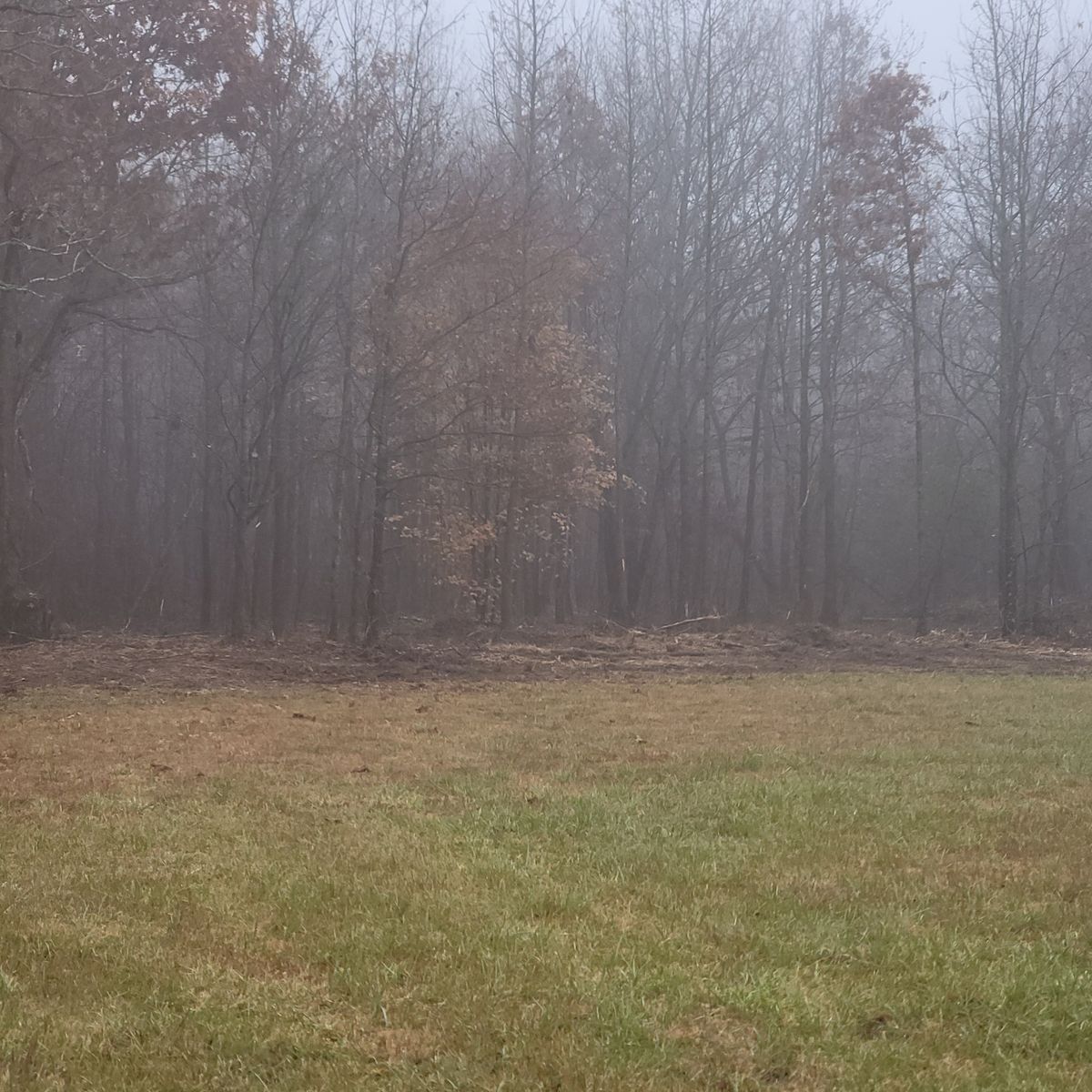 Excavation and repair services for Z's Land Management & Forestry Mulching in Smithville, TN