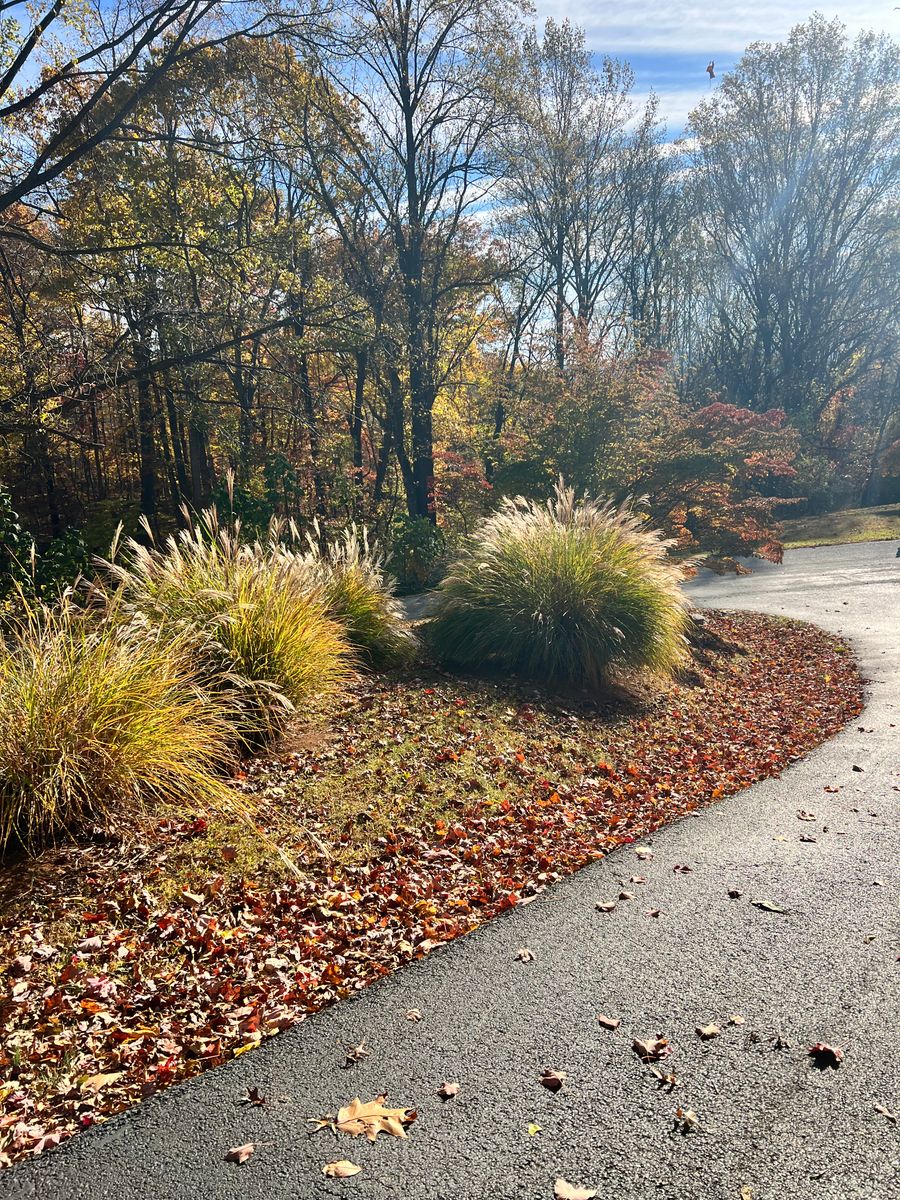 Fall Clean Up for Valencia’s Lawncare in Charlottesville, VA