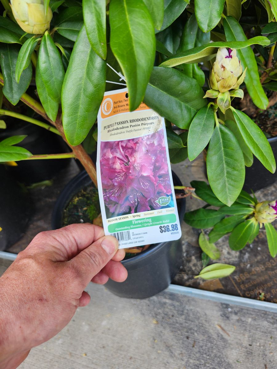 Landscape Installation for Landscape Innovations LLC in Torrington, CT