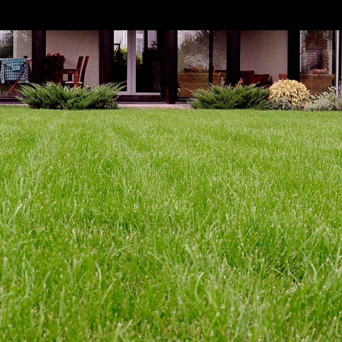 Aeration for Holloway Yard Company in Greensboro, NC