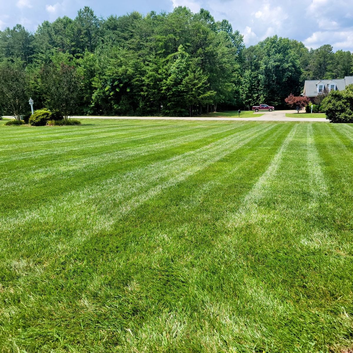 Fertilization for Piedmont Lawn and Landscaping in Lexington, NC