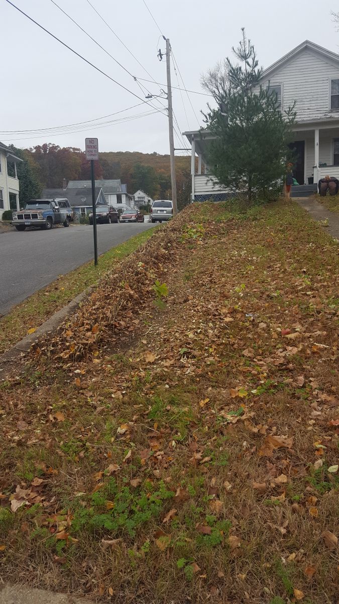 Fall Cleanups for Landscape Innovations LLC in Torrington, CT