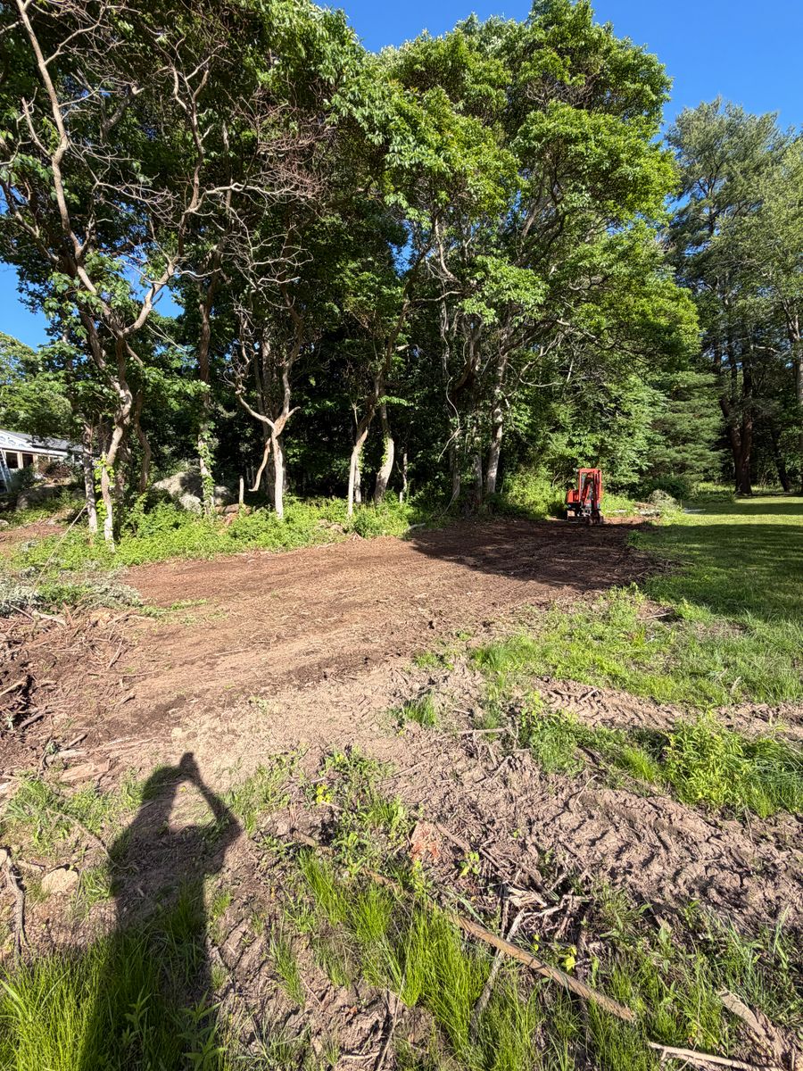 Brush Clearing for Emerald Exterior Property Management in Old Saybrook, CT