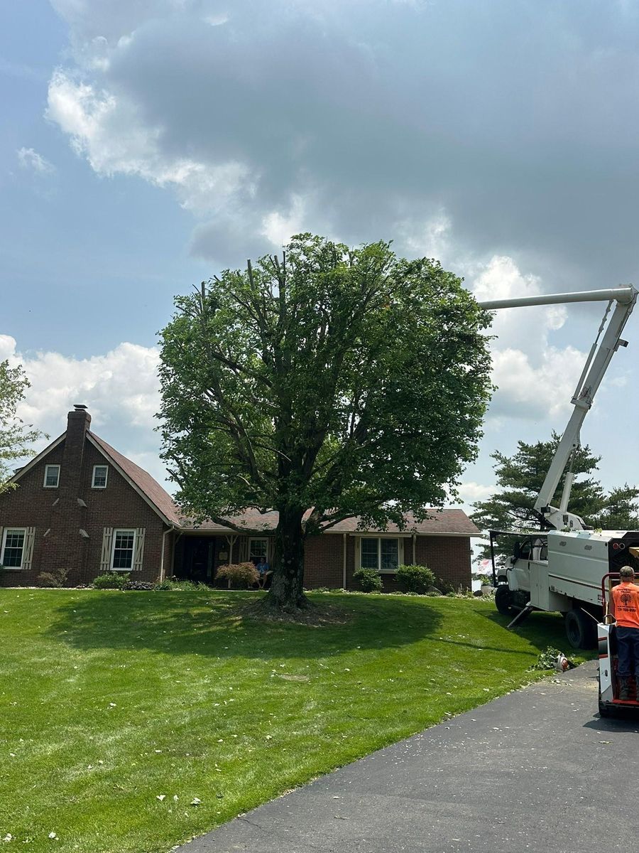 Tree Trimming for Greenskeeper Property Management in Elizabethtown, KY