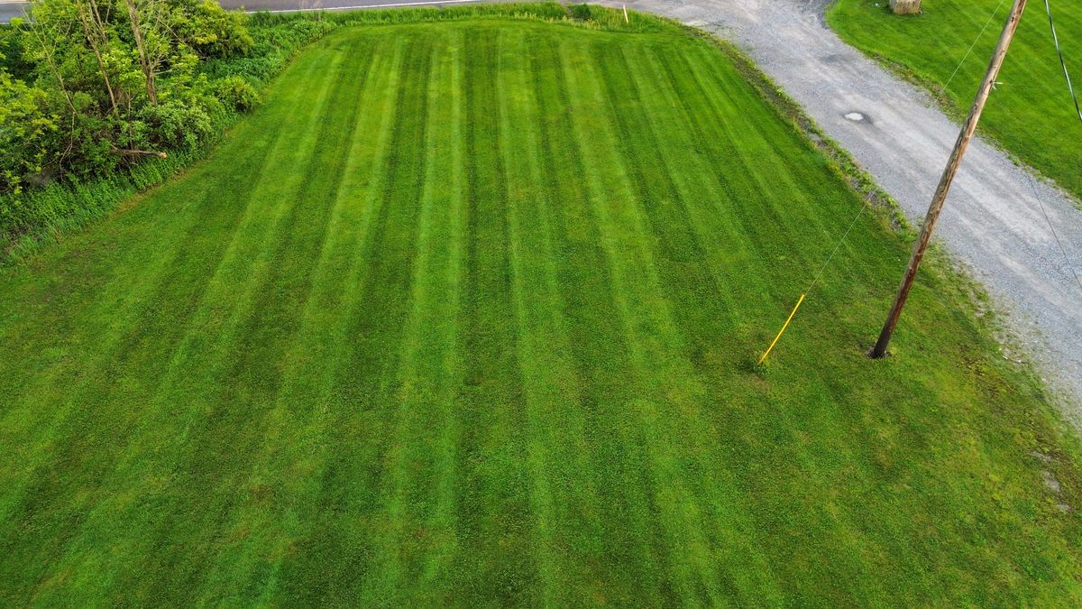Fall Clean Up for Lopez Landscaping and Hardscapes in Scranton, PA