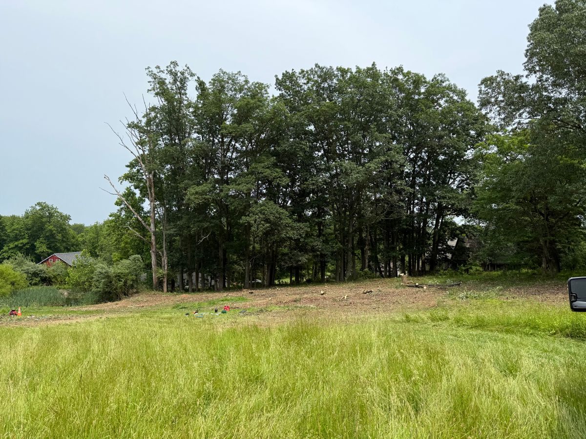 Lot Clearing for Total Tree Service in Washington, NJ