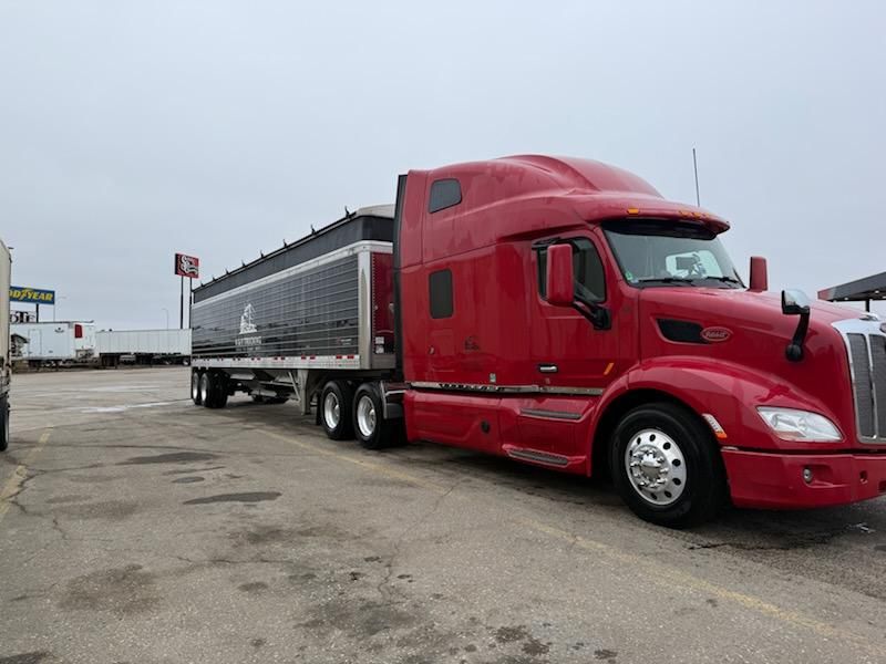 Hauling Grain for N & F Trucking in Watertown, MN