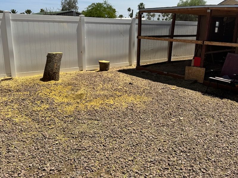 Tree Removal for Patriot Tree Service in Mesa, AZ
