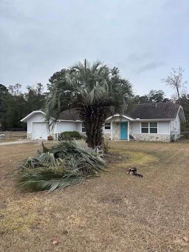 Tree Trimming & Removals for Aztec Land Destroyers LLC in Ocala, FL