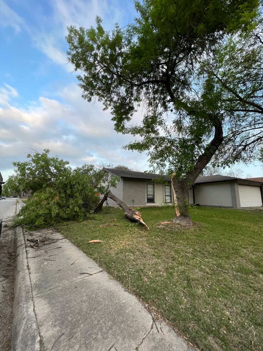 24 hour emergency services for Z’s Trees LLC in Grey Forest, TX