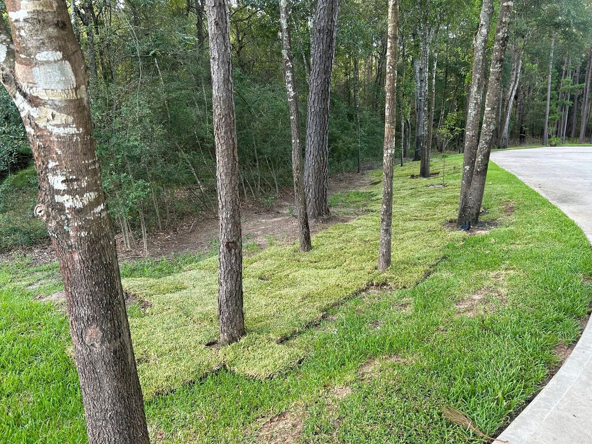 Tree & Shrub Care for Total Terrain Services in Montgomery, TX