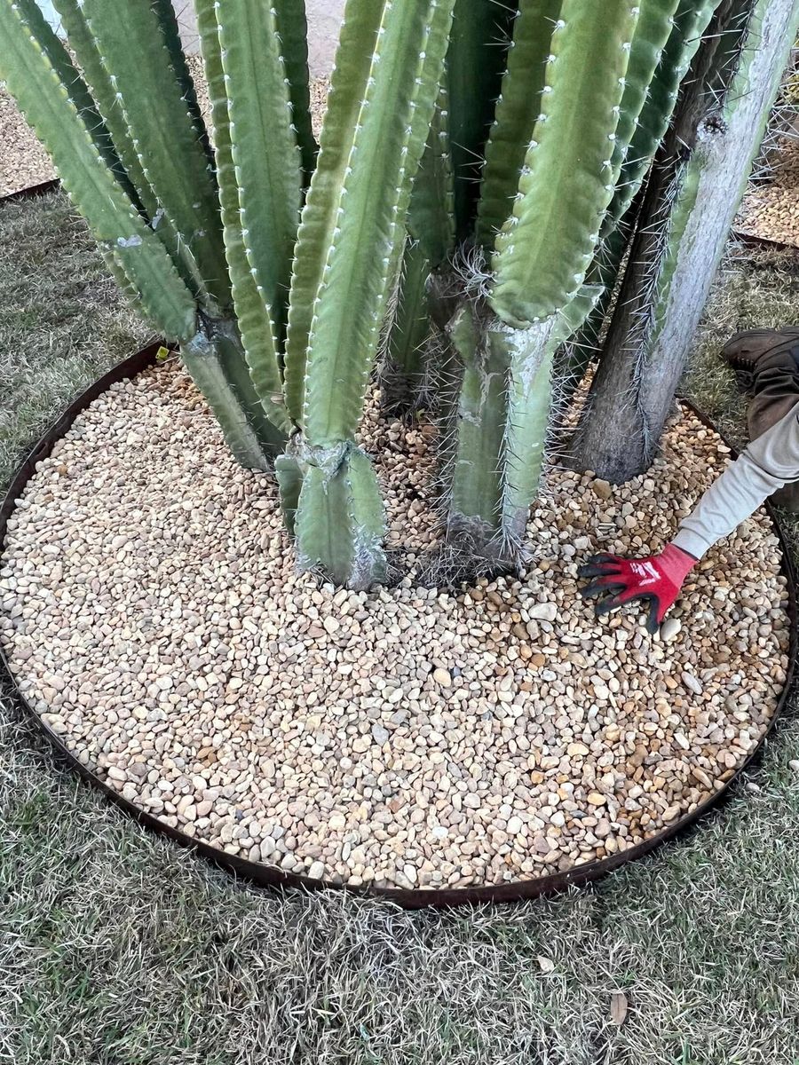 Landscape Desgin for R.B. & Company in Belleview, FL