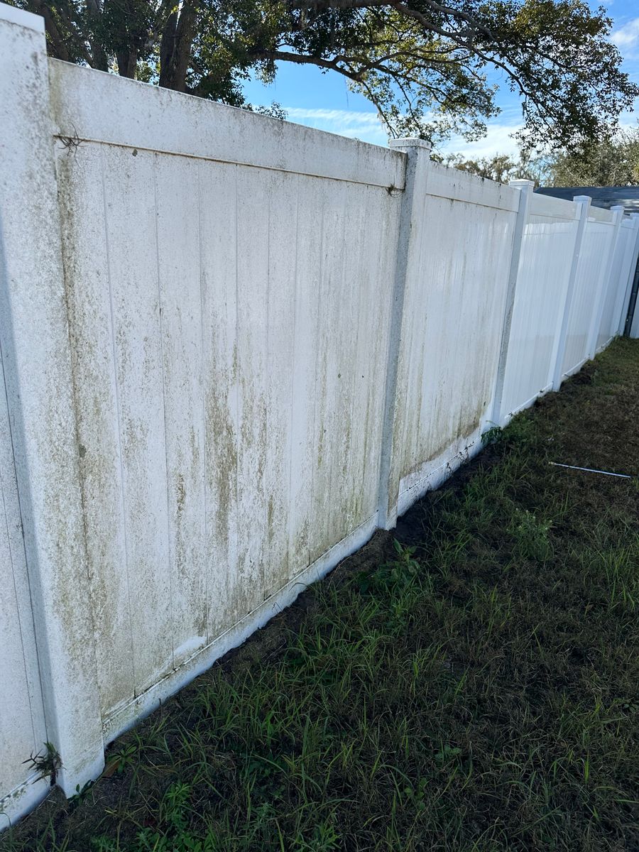Pressure Washing for The Yardman in Tampa, FL